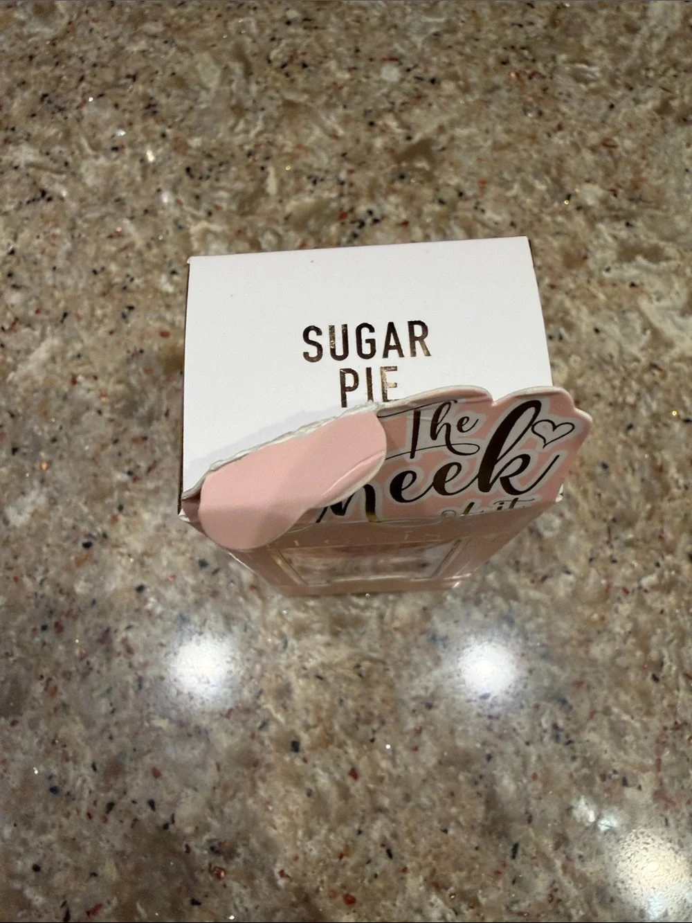 NEW P Louise The Cheek Of It Liquid Blush
